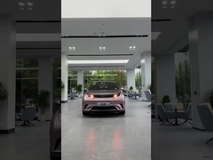 NEDC Haitun BYD Dolphins Voiture électrique rose blanc Autonomie 420 km