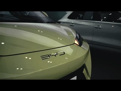 2023 Mouette BYD Petites voitures électriques 55kW