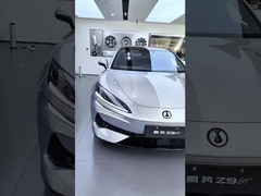 Tengshi Z9gt est un joueur de tennis.