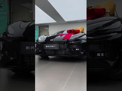 Tengshi Z9gt est un joueur de tennis.