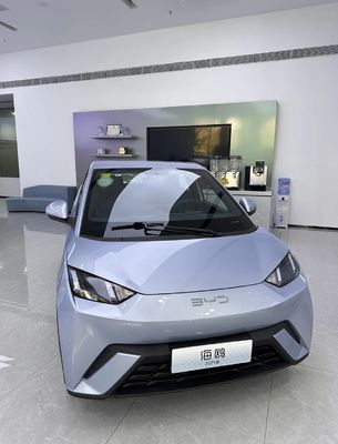 배급자 Byd Seagull 405 Km 배터리 전기 차량 100% 전기 에너지 유형