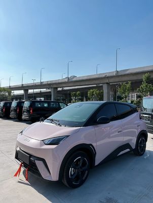 Bianco Seagull 405 km nuova mobilità energetica auto fabbrica di personalizzazione elettrica