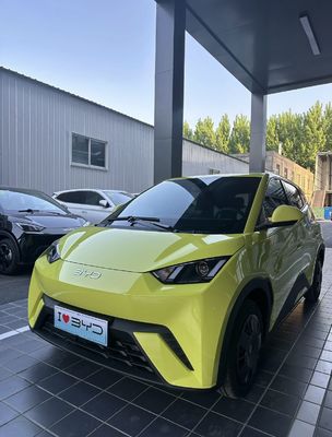 Bianco Seagull 405 km nuova mobilità energetica auto fabbrica di personalizzazione elettrica