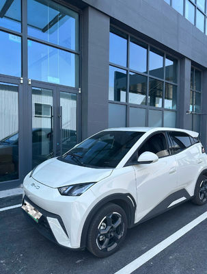 Bianco Seagull 405 km nuova mobilità energetica auto fabbrica di personalizzazione elettrica