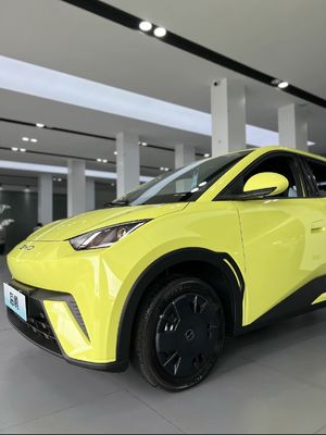 Distributori Veicolo elettrico gabbiano verde fluorescente Byd 405km di avventura per 5 passeggeri