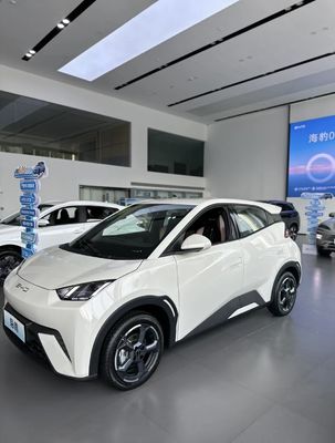 Piccolo Costruisci i tuoi sogni BYD Seagull 420KM EV Veicoli elettrici Auto