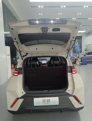 Piccolo Costruisci i tuoi sogni BYD Seagull 420KM EV Veicoli elettrici Auto