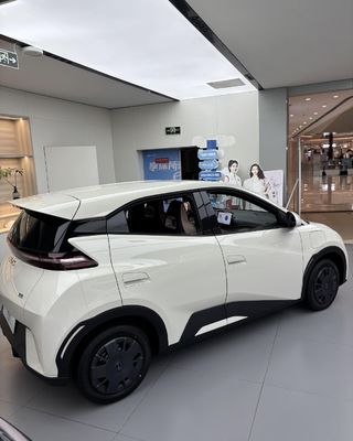 Adulti Auto elettrica Byd Gabbiano 2025 405 Versione volante di piccola auto di famiglia Veicolo a nuova energia